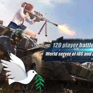 Meet your Posher, Irving